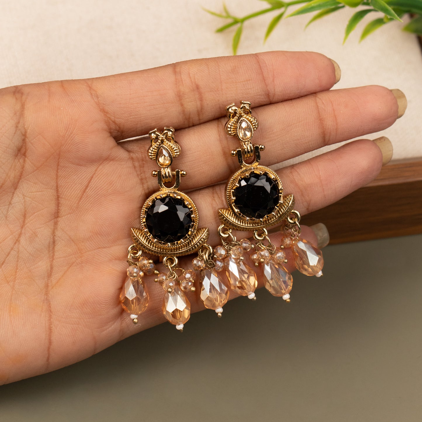 Fancy Earrings E1231