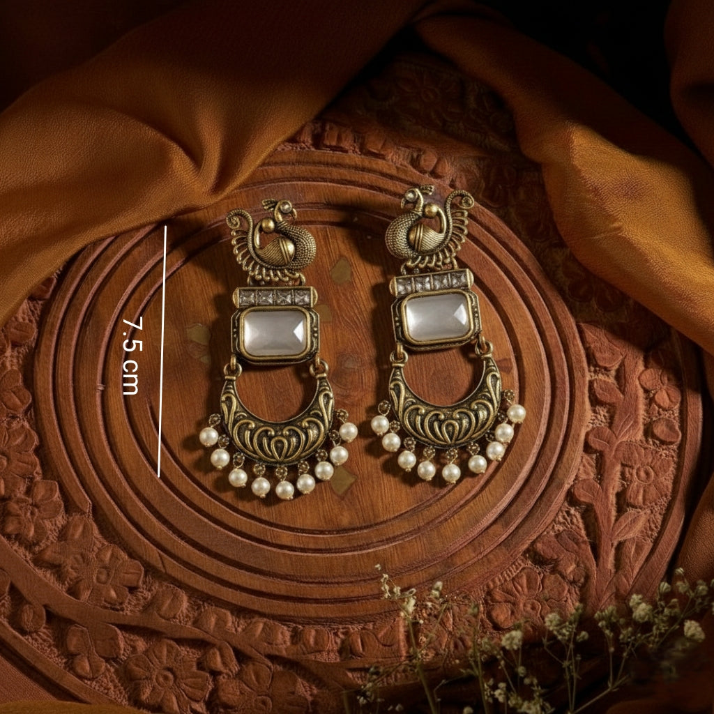fancy Earrings E770