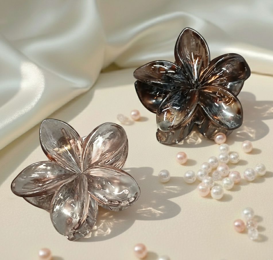 Hair Clip C54 (2 Piece)