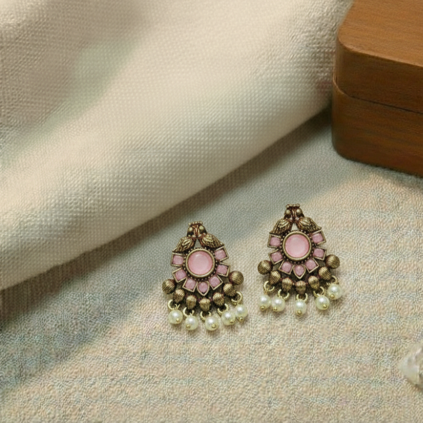 Fancy Earrings E828