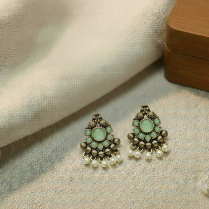 Fancy Earrings E828