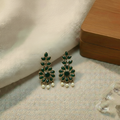 Fancy Earrings E829