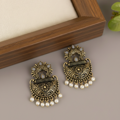 Fancy Earrings E830