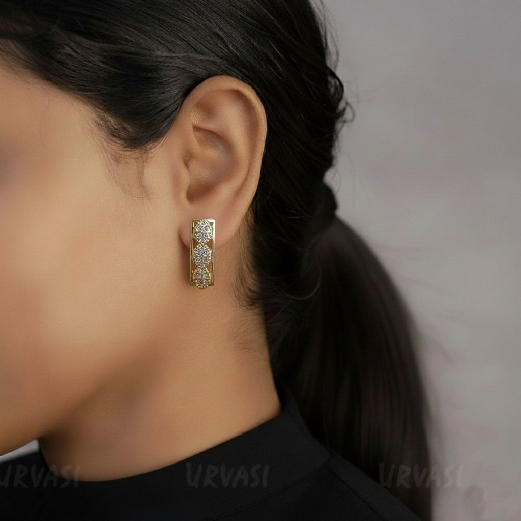 Fancy Earrings E389[Hoop]