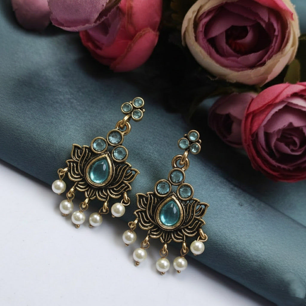 Fancy Earrings 452