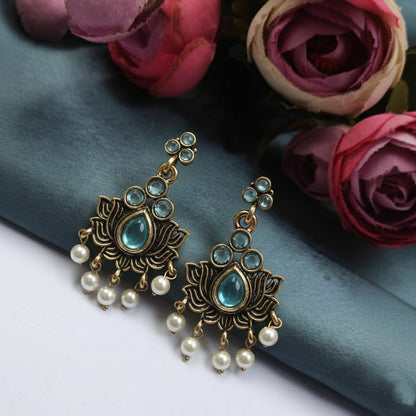 Fancy Earrings 452