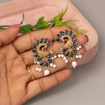 Fancy Earrings E1592