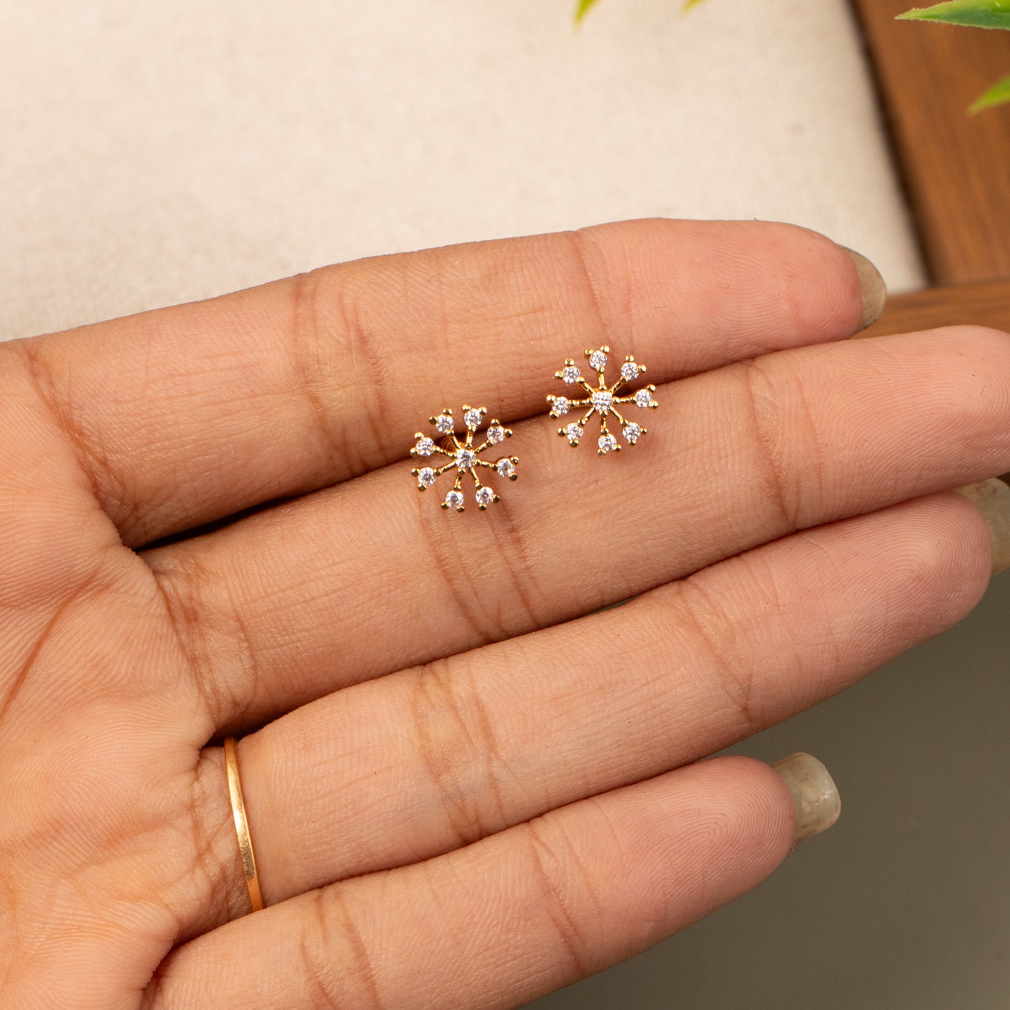 Stud Earrings E1143