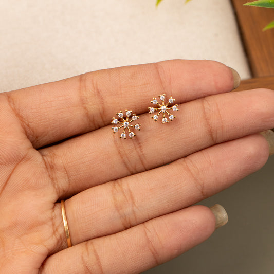 Stud Earrings E1143