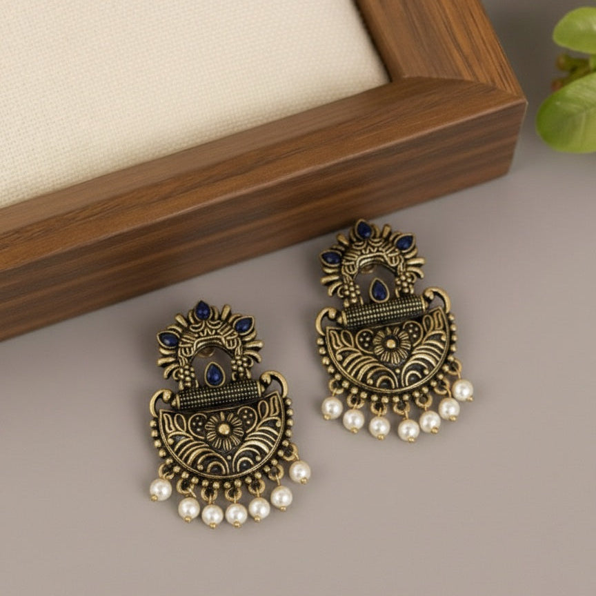 Fancy Earrings E830