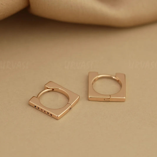 Fancy Earrings E892[Hoop]