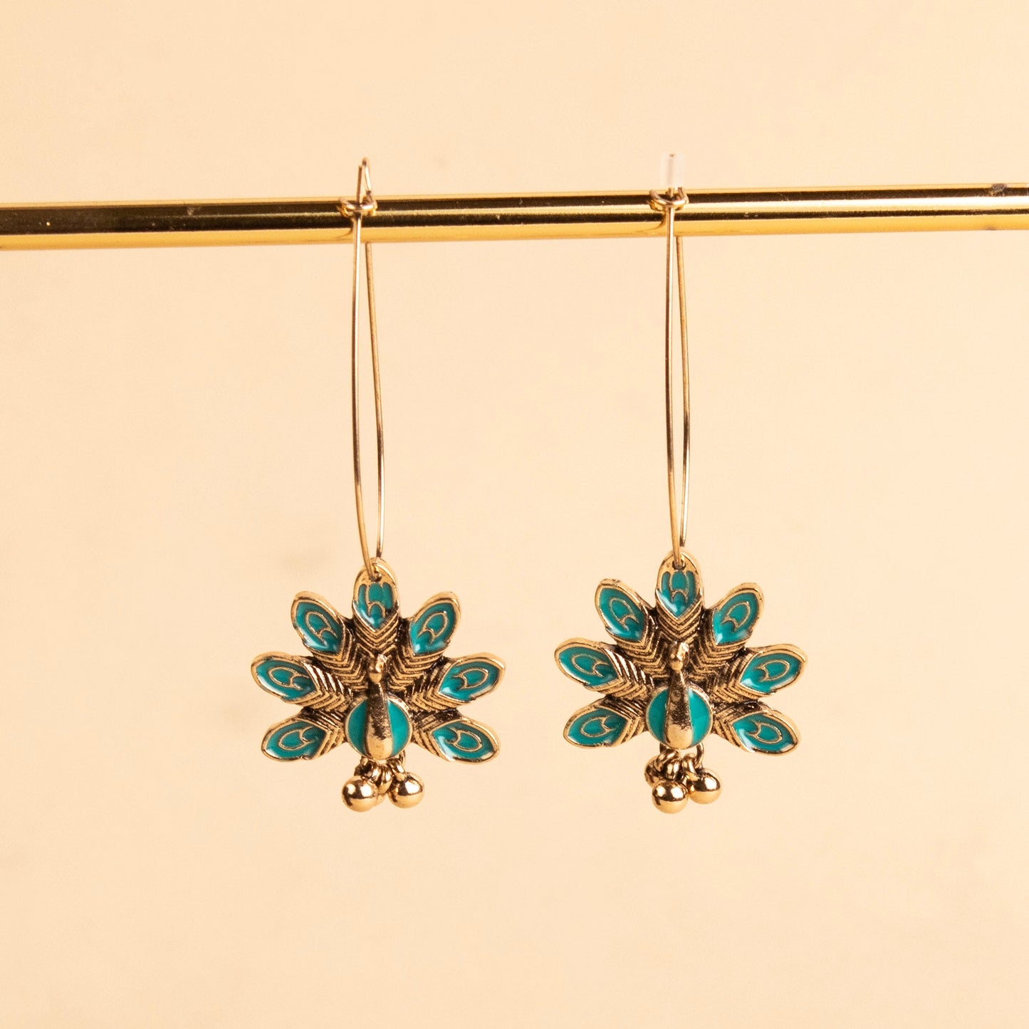 Long Hook Closure Hanging Earrings E1303