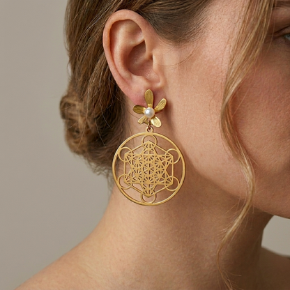 Fancy Earrings E904