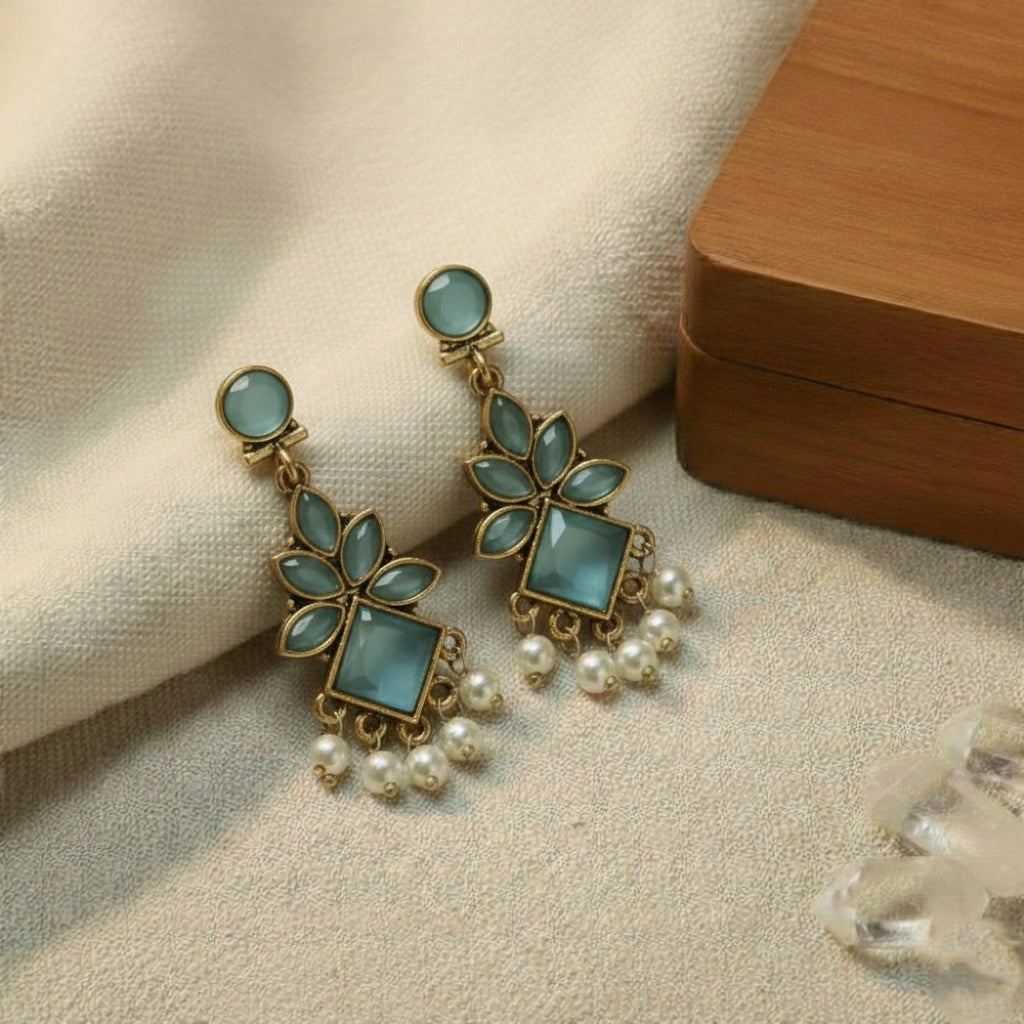 Fancy Earrings E775