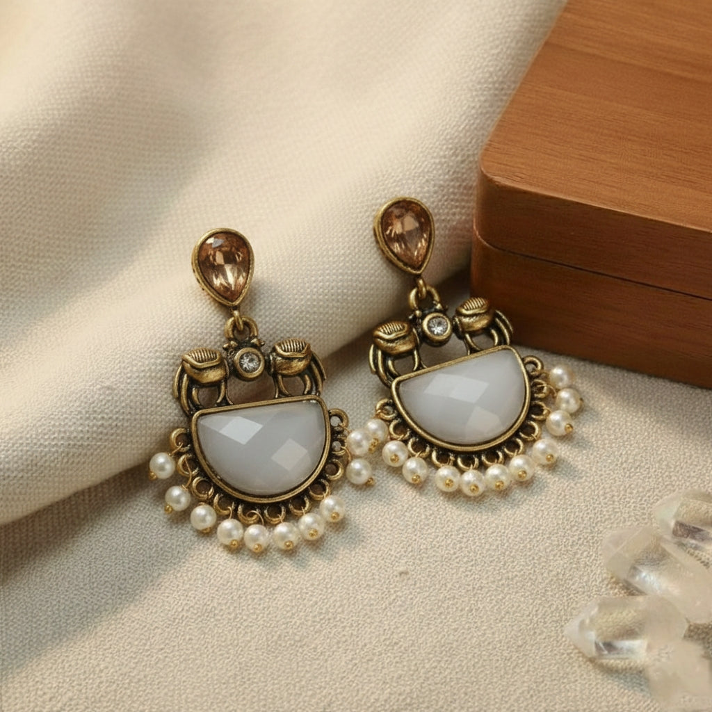 Fancy Earrings E758