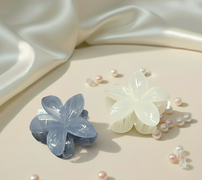 Hair Clip C53 (2 Piece)