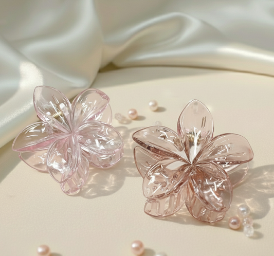 Hair Clip C54 (2 Piece)