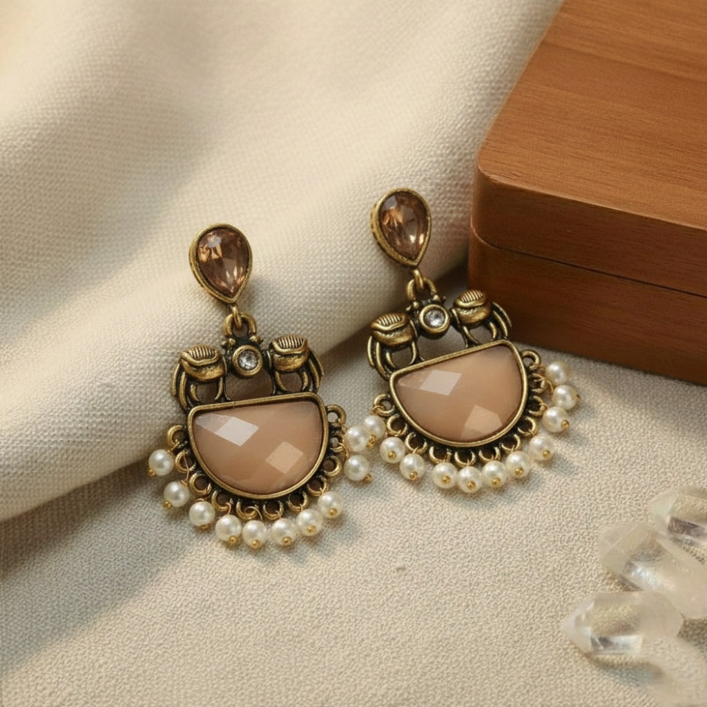 Fancy Earrings E758
