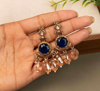 Fancy Earrings E1231